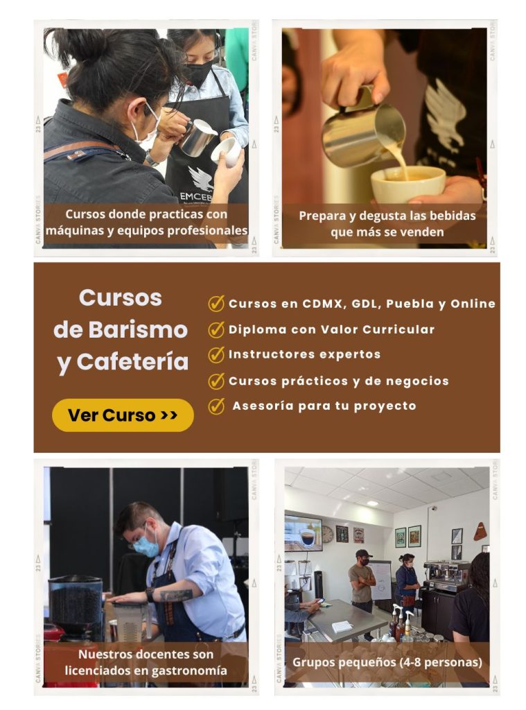 Curso barismo 