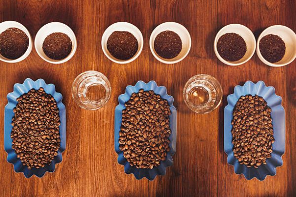 Catación de café