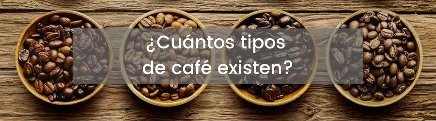 ¿Cuántos tipos de café existen? 