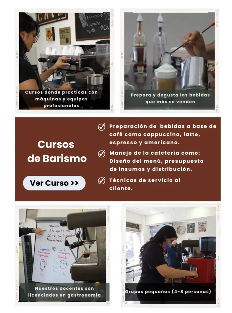Cursos de Barismo 
